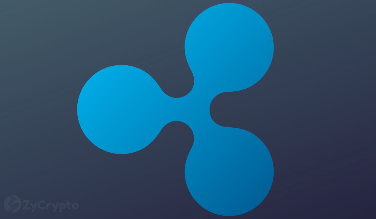 Ripple CTO Makes 5 Bold Predictions for Blockchain In 2024 — XRP Massive  Adoption In The Offing ⋆ ZyCrypto